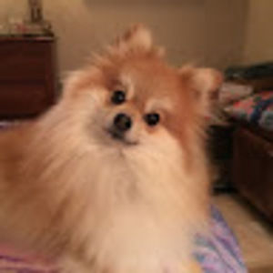 Meet your Posher, Brooke